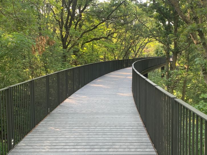 Tangent Wood: The Backbone of Minnesota Zoo’s Treetop Trail